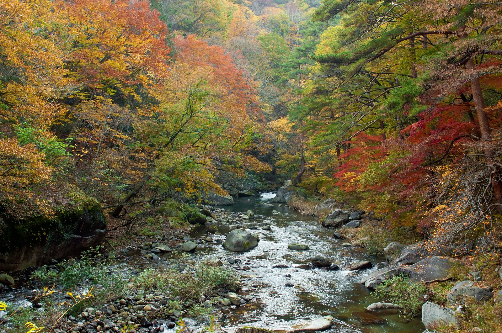 日本の絶景を楽しむ秋！全国の紅葉スポット4選